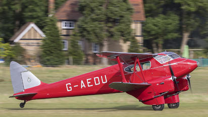 G-AEDU - Private de Havilland DH. 90 Dragonfly