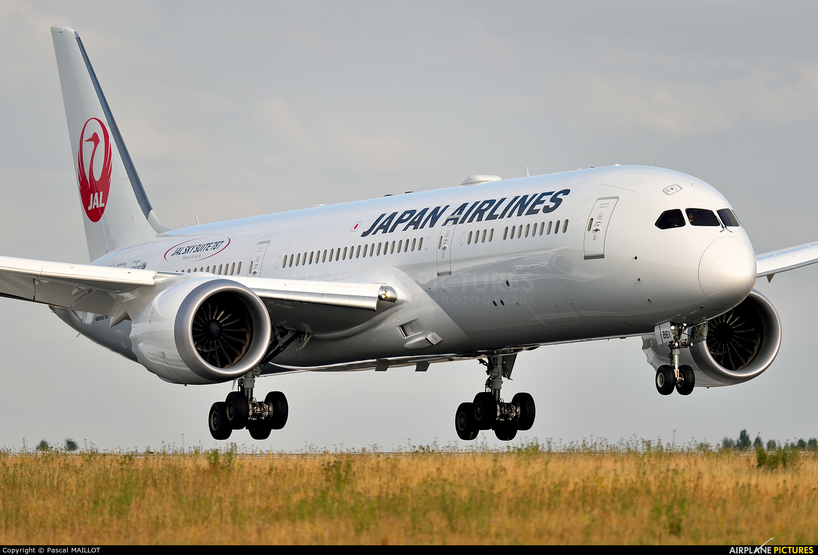 JA861J - JAL - Japan Airlines Boeing 787-9 Dreamliner at Paris 