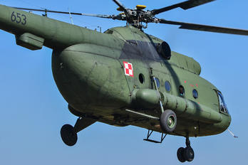 653 - Poland - Army Mil Mi-8T