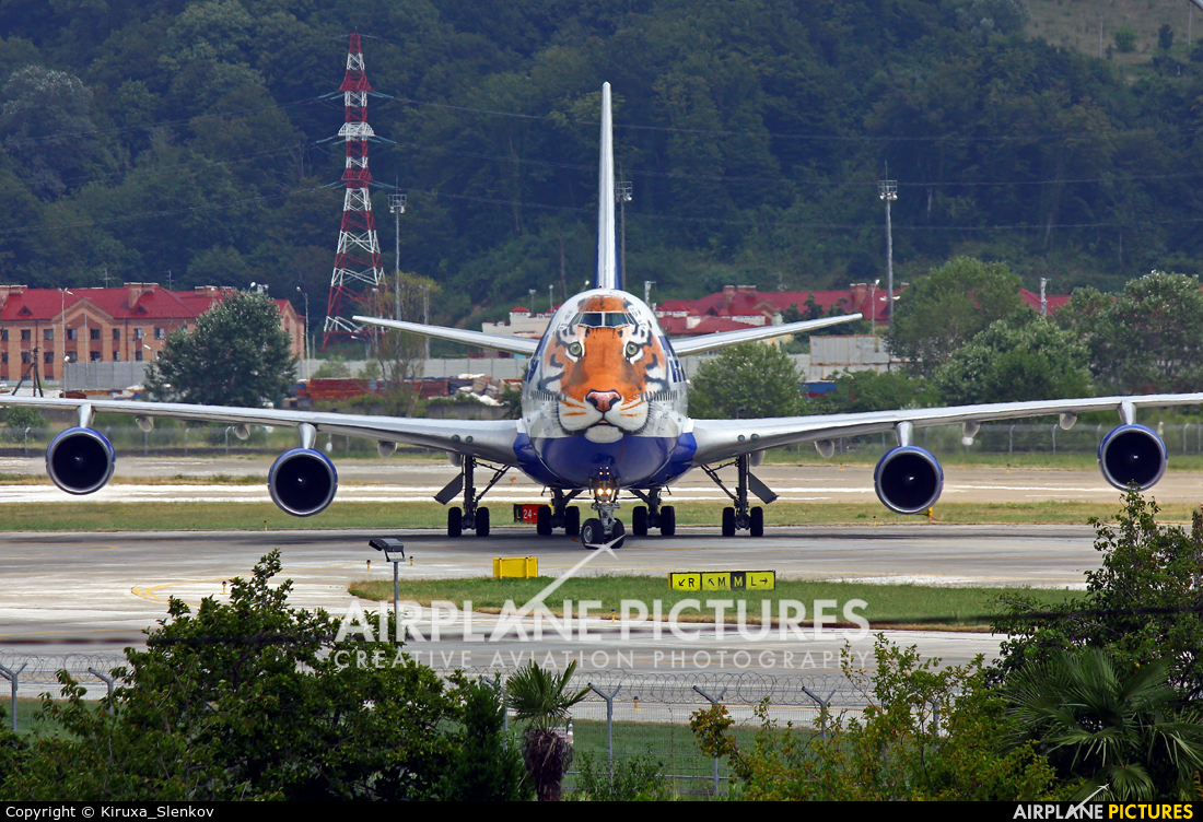Transaero Airlines EI-XLN aircraft at Sochi Intl
