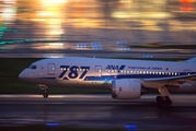JA821A - ANA - All Nippon Airways Boeing 787-8 Dreamliner aircraft