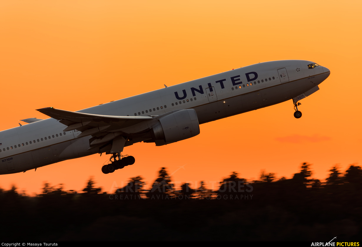 United Airlines N77019 aircraft at Tokyo - Narita Intl