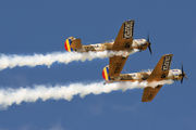 Aerobatic Yakkers LY-WAA image