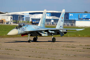 710 - Gromov Flight Research Institute Sukhoi Su-35