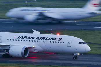 JA836J - JAL - Japan Airlines Boeing 787-8 Dreamliner