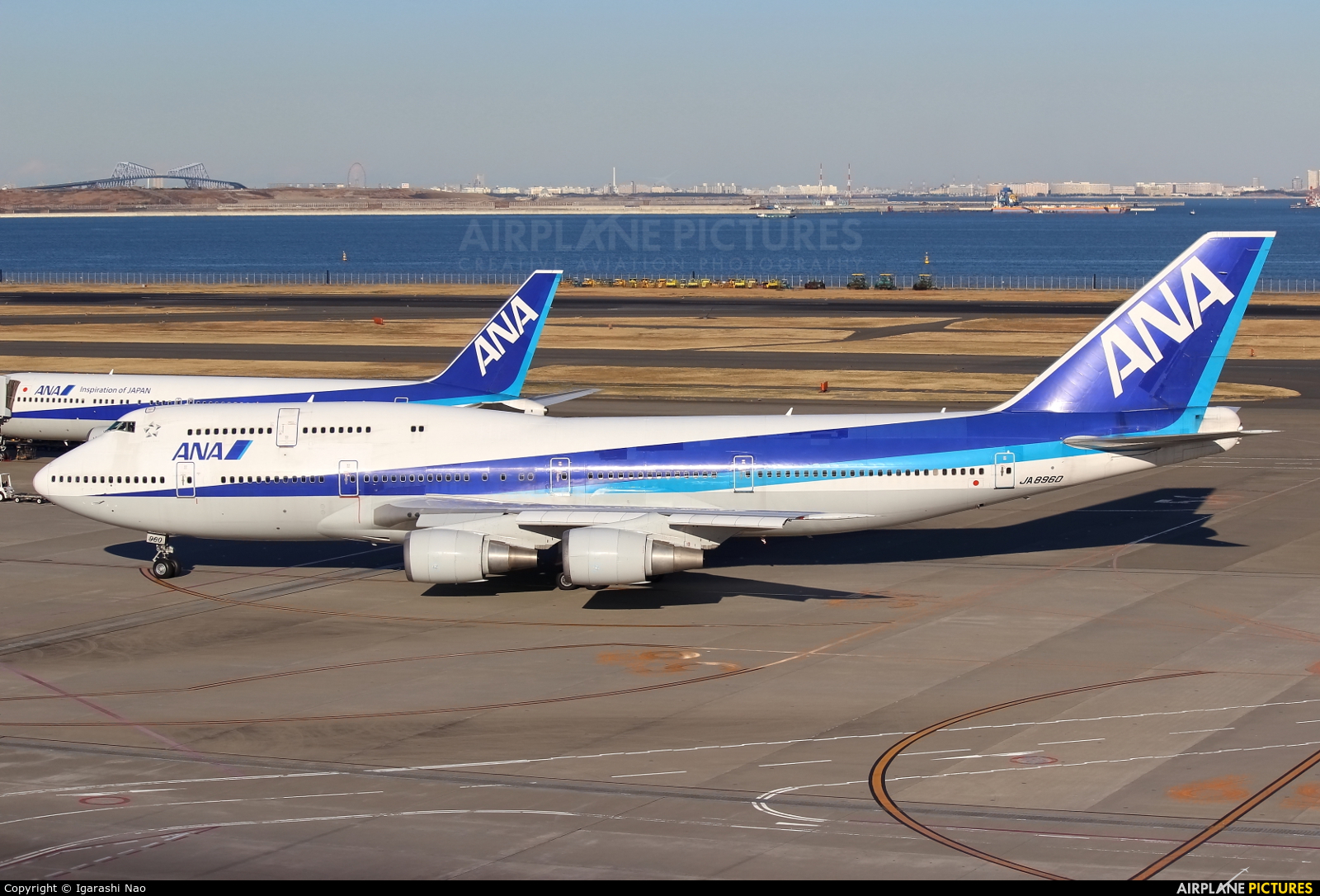 ANA - All Nippon Airways JA8960 aircraft at Tokyo - Haneda Intl