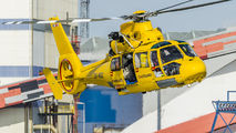 OO-NSZ - Netherlands - Coastguard Eurocopter AS365 Dauphin 2 aircraft
