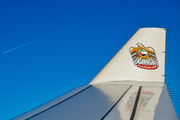 Etihad Airways A6-AFE image