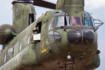 D-667 - Netherlands - Air Force Boeing CH-47D Chinook