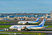 JA813A - ANA - All Nippon Airways Boeing 787-8 Dreamliner aircraft