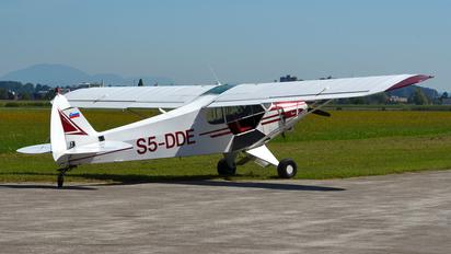 S5-DDE - Aeroklub Celje Piper L-18 Super Cub