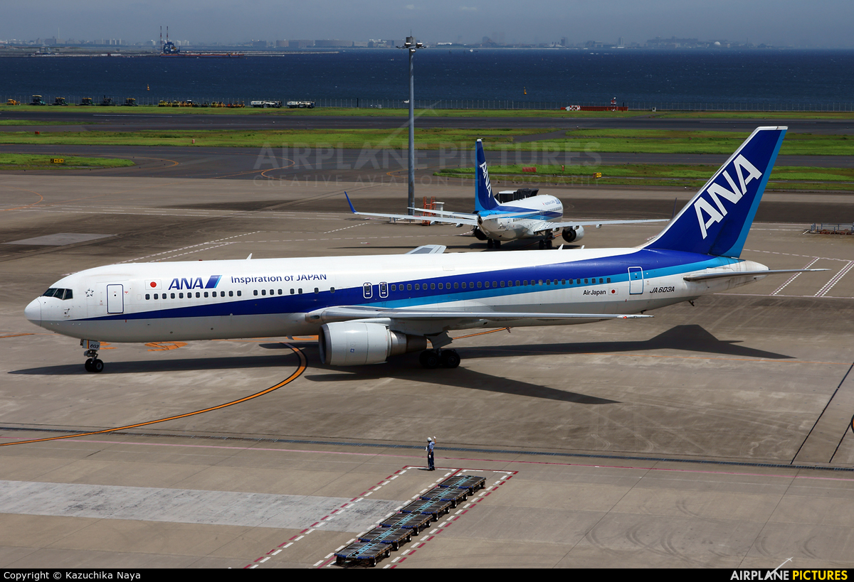 ANA - All Nippon Airways JA603A aircraft at Tokyo - Haneda Intl