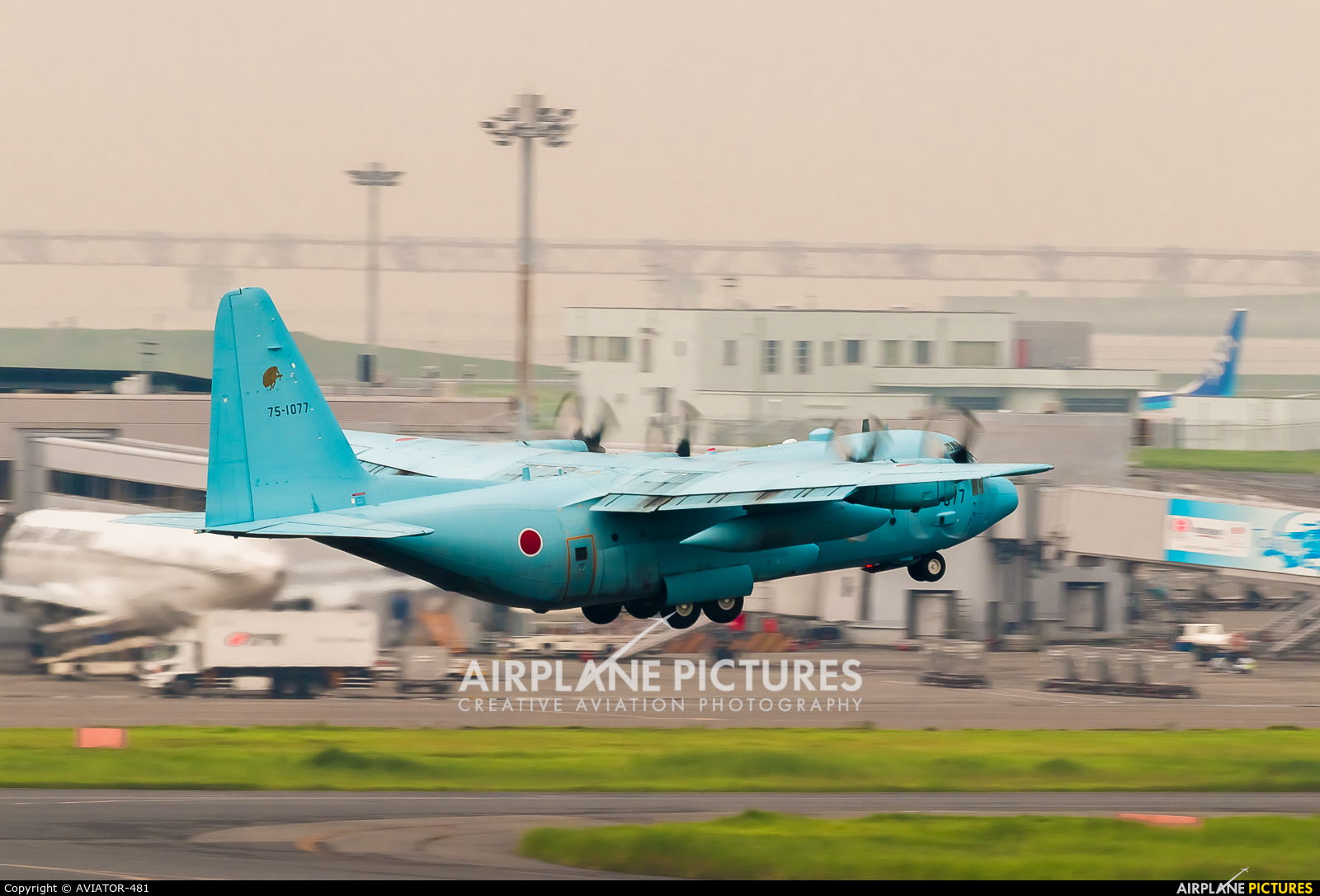 Japan - Air Self Defence Force 75-1077 aircraft at Tokyo - Haneda Intl