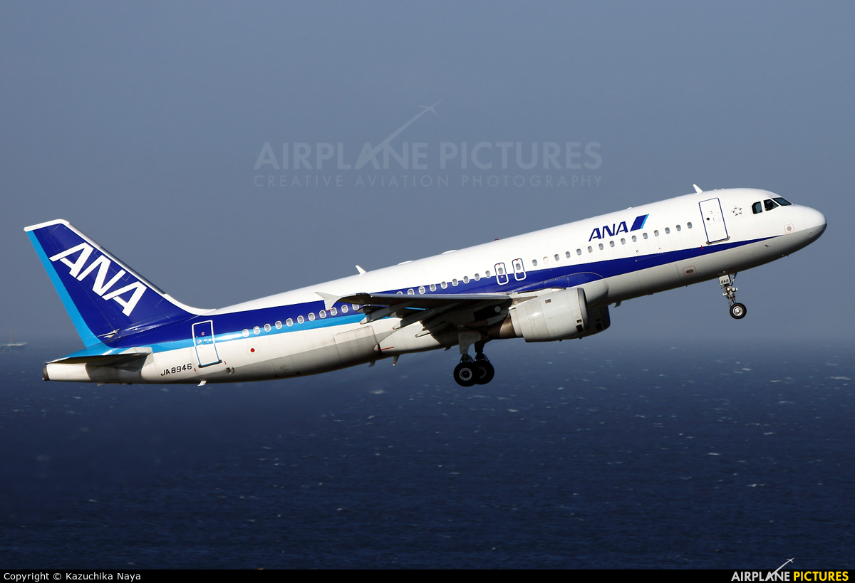 ANA - All Nippon Airways JA8946 aircraft at Tokyo - Haneda Intl