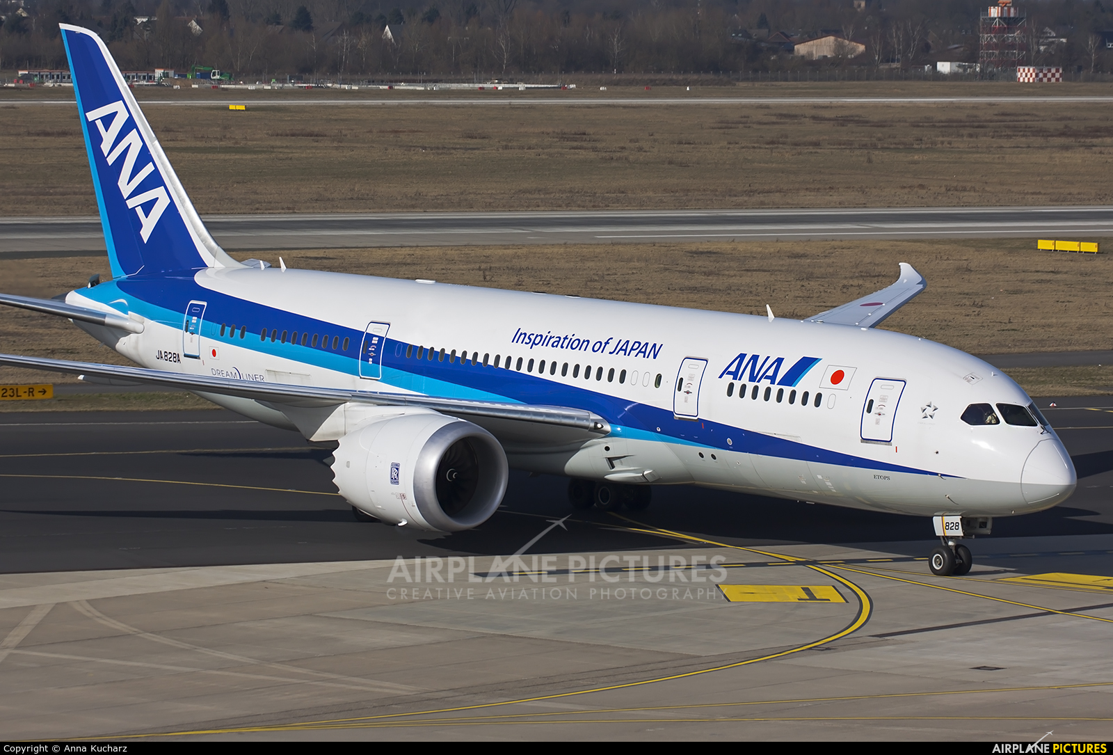 ANA - All Nippon Airways JA828A aircraft at Düsseldorf