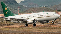 HZ-MF1 - Saudi Arabia - Government Boeing 737-700 BBJ aircraft