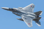 62-8865 - Japan - Air Self Defence Force Mitsubishi F-15J aircraft