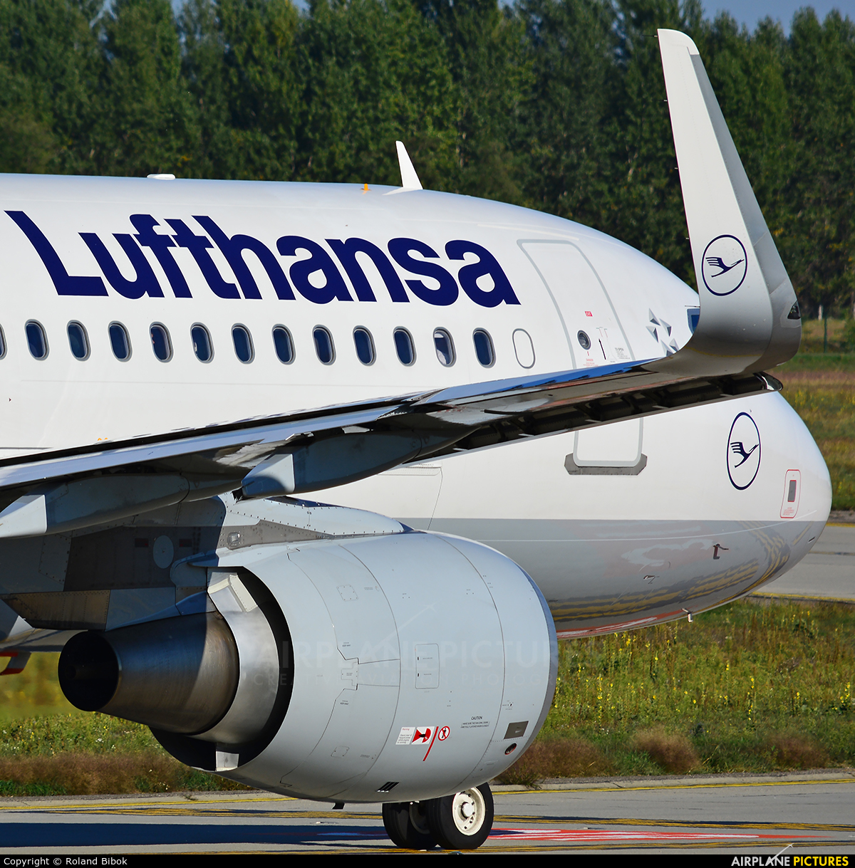 Lufthansa D-AIUL aircraft at Budapest Ferenc Liszt International Airport