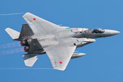 52-8858 - Japan - Air Self Defence Force Mitsubishi F-15J aircraft