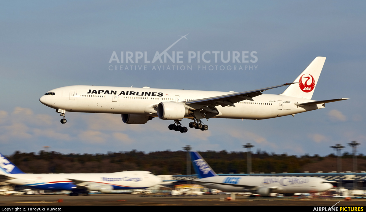 JAL - Japan Airlines JA738J aircraft at Tokyo - Narita Intl
