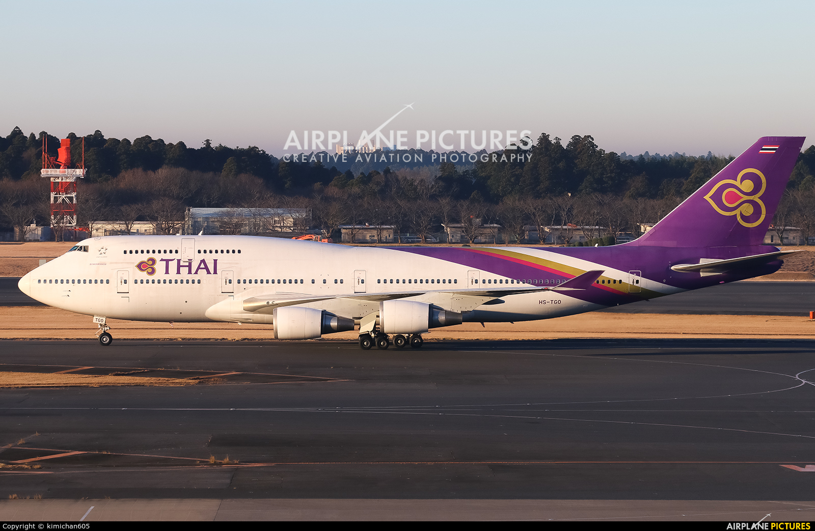 Thai Airways HS-TGO aircraft at Tokyo - Narita Intl