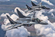 Poland - Air Force 65 image