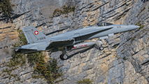 J-5016 - Switzerland - Air Force McDonnell Douglas F/A-18C Hornet aircraft