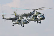 9904 - Czech - Air Force Mil Mi-171 aircraft