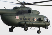 Poland - Army 606 image