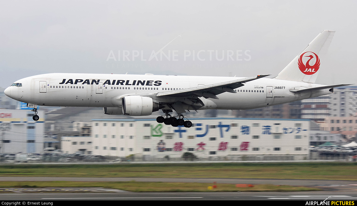 JAL - Japan Airlines JA8977 aircraft at Fukuoka