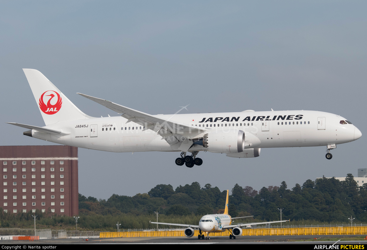 JAL - Japan Airlines JA845J aircraft at Tokyo - Narita Intl
