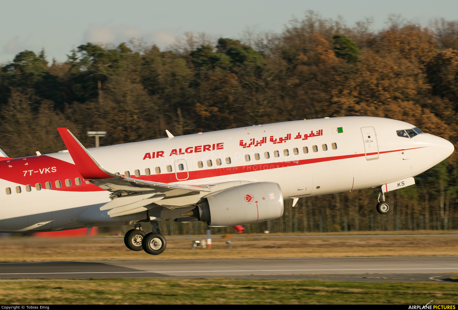 Air Algerie 7T-VKS aircraft at Frankfurt