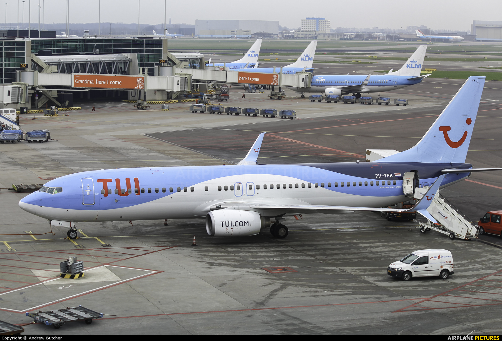 TUI Airlines Netherlands PH-TFB aircraft at Amsterdam - Schiphol