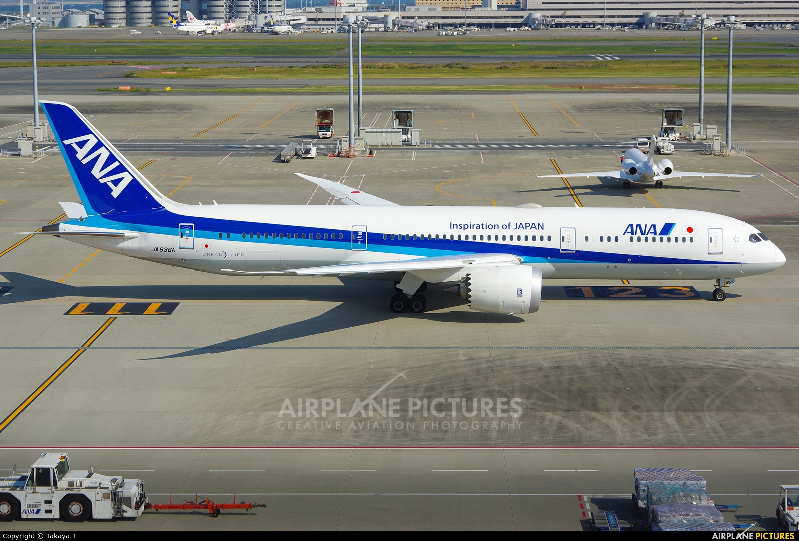 ANA - All Nippon Airways JA876A aircraft at Tokyo - Haneda Intl