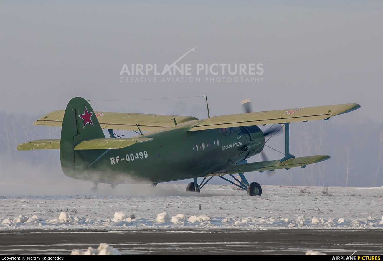 DOSAAF / ROSTO RF-00499 aircraft at Chelyabinsk-Kalachevo