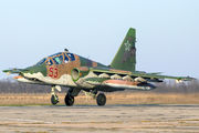53 - Russia - Air Force Sukhoi Su-25UB aircraft