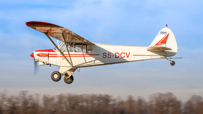 S5-DCV - Aeroklub Murska Sobota Piper PA-18 Super Cub