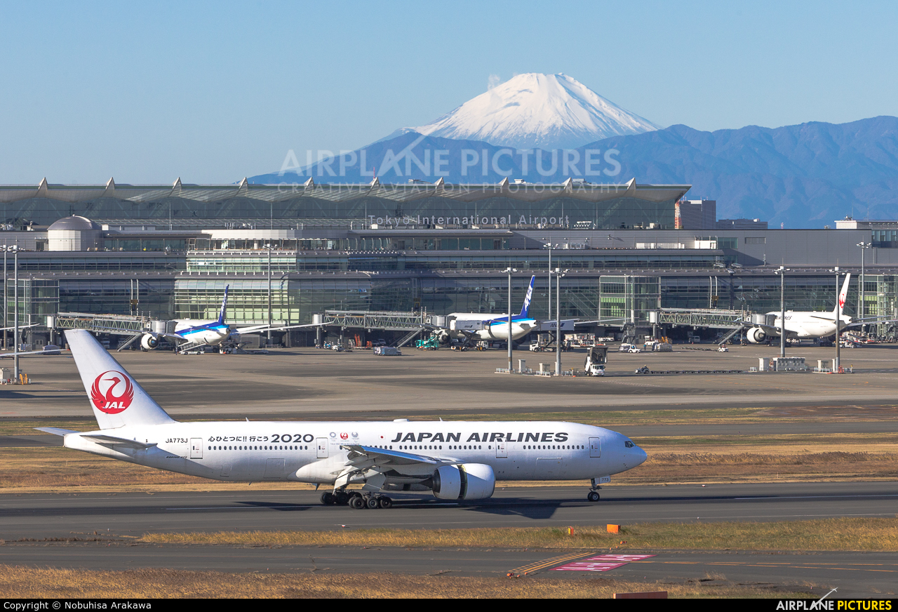 JAL - Japan Airlines JA773J aircraft at Tokyo - Haneda Intl