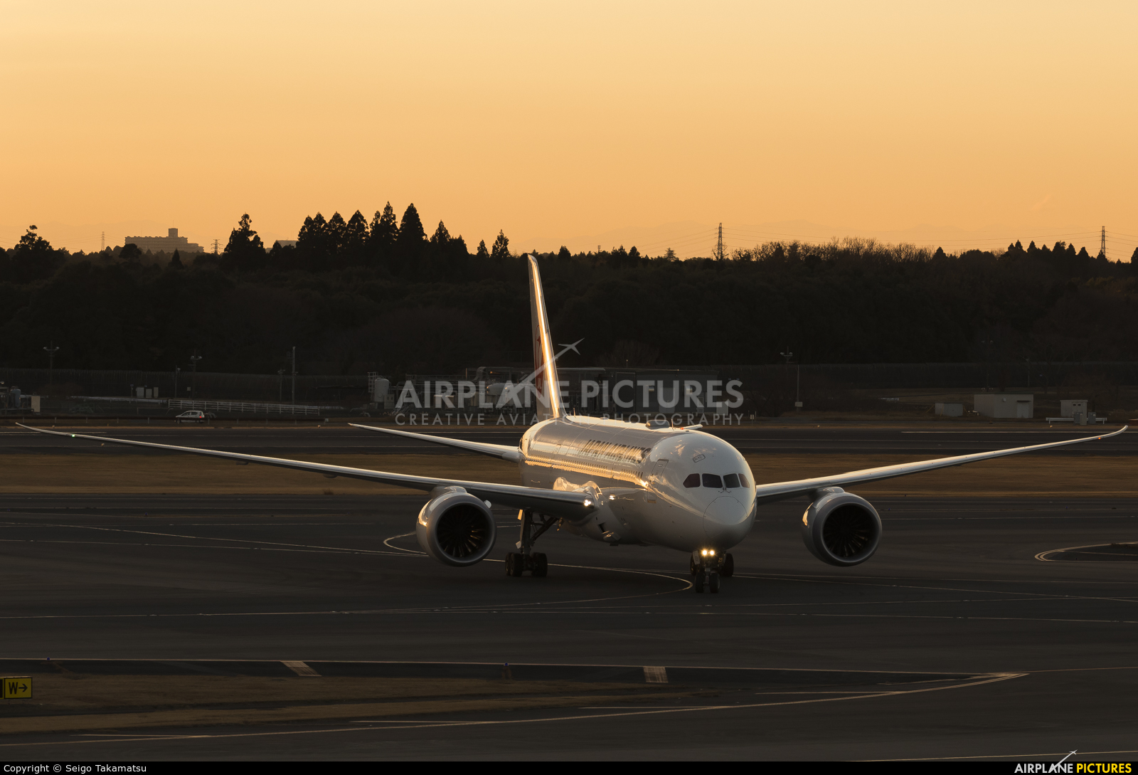 JAL - Japan Airlines JA839J aircraft at Tokyo - Narita Intl