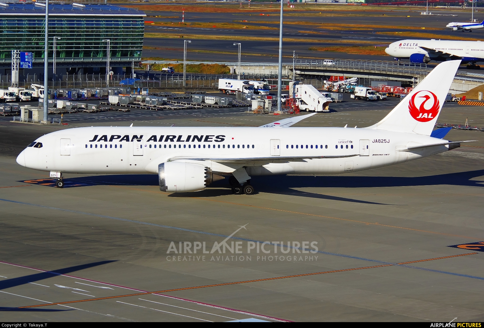 JAL - Japan Airlines JA825J aircraft at Tokyo - Haneda Intl