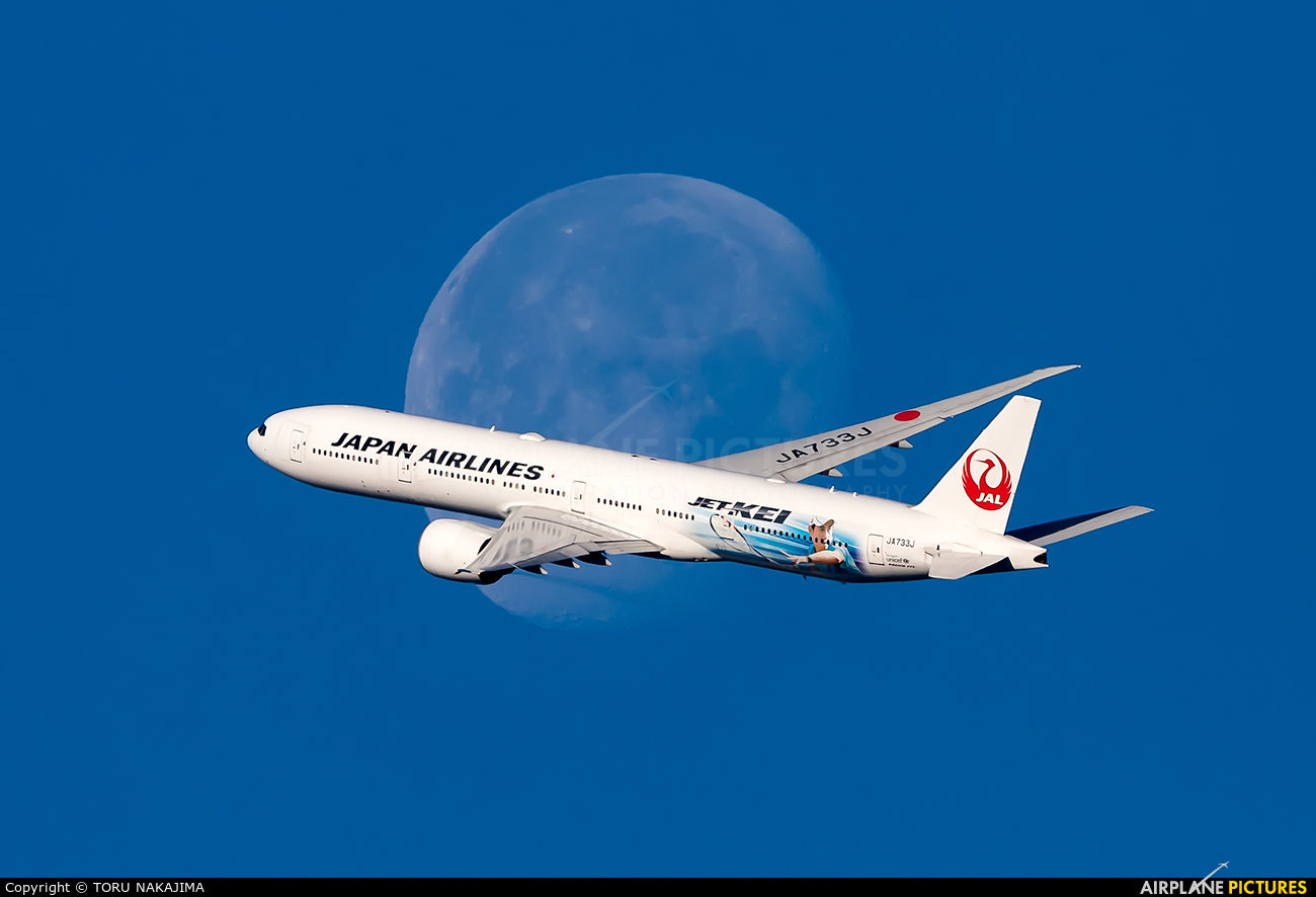 JAL - Japan Airlines JA733J aircraft at Off Airport - Japan