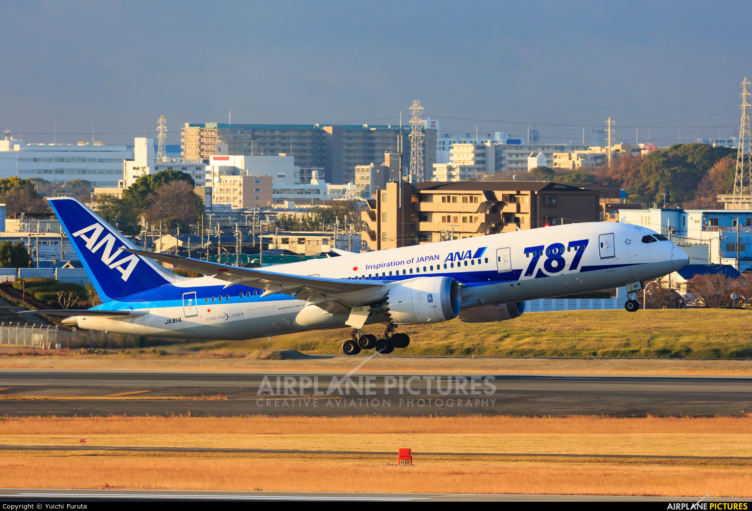 ANA - All Nippon Airways JA811A aircraft at Osaka - Itami Intl