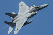22-8812 - Japan - Air Self Defence Force Mitsubishi F-15J aircraft