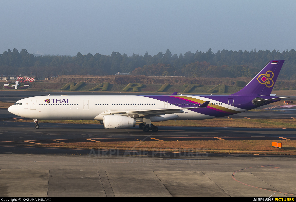 Thai Airways HS-TEU aircraft at Tokyo - Narita Intl