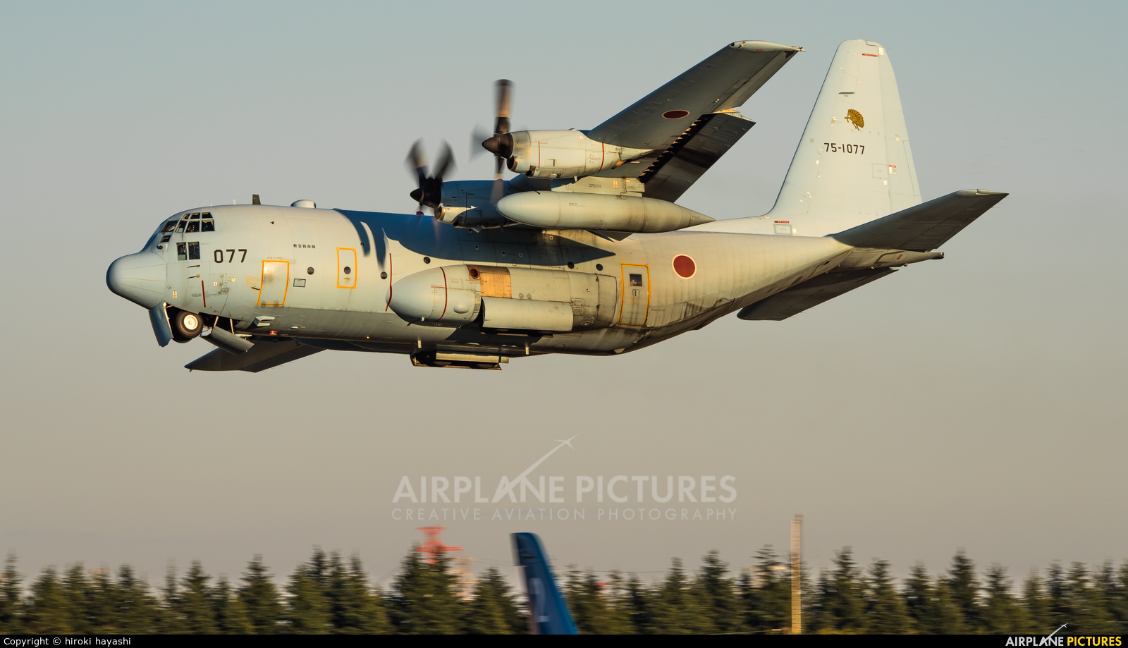 Japan - Air Self Defence Force 75-1077 aircraft at Iruma AB