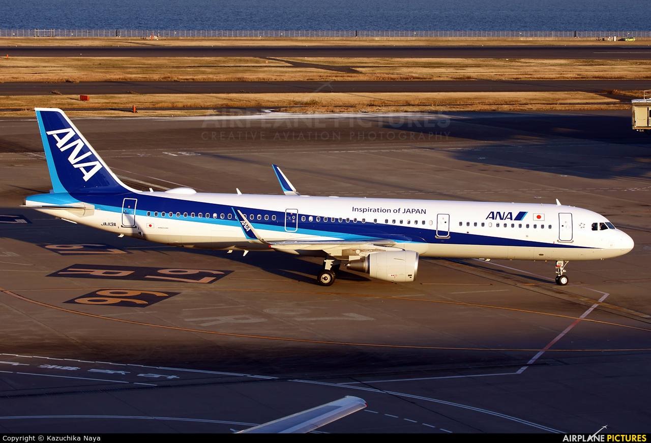 ANA - All Nippon Airways JA113A aircraft at Tokyo - Haneda Intl