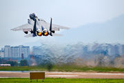 South Korea - Air Force 02-004 image