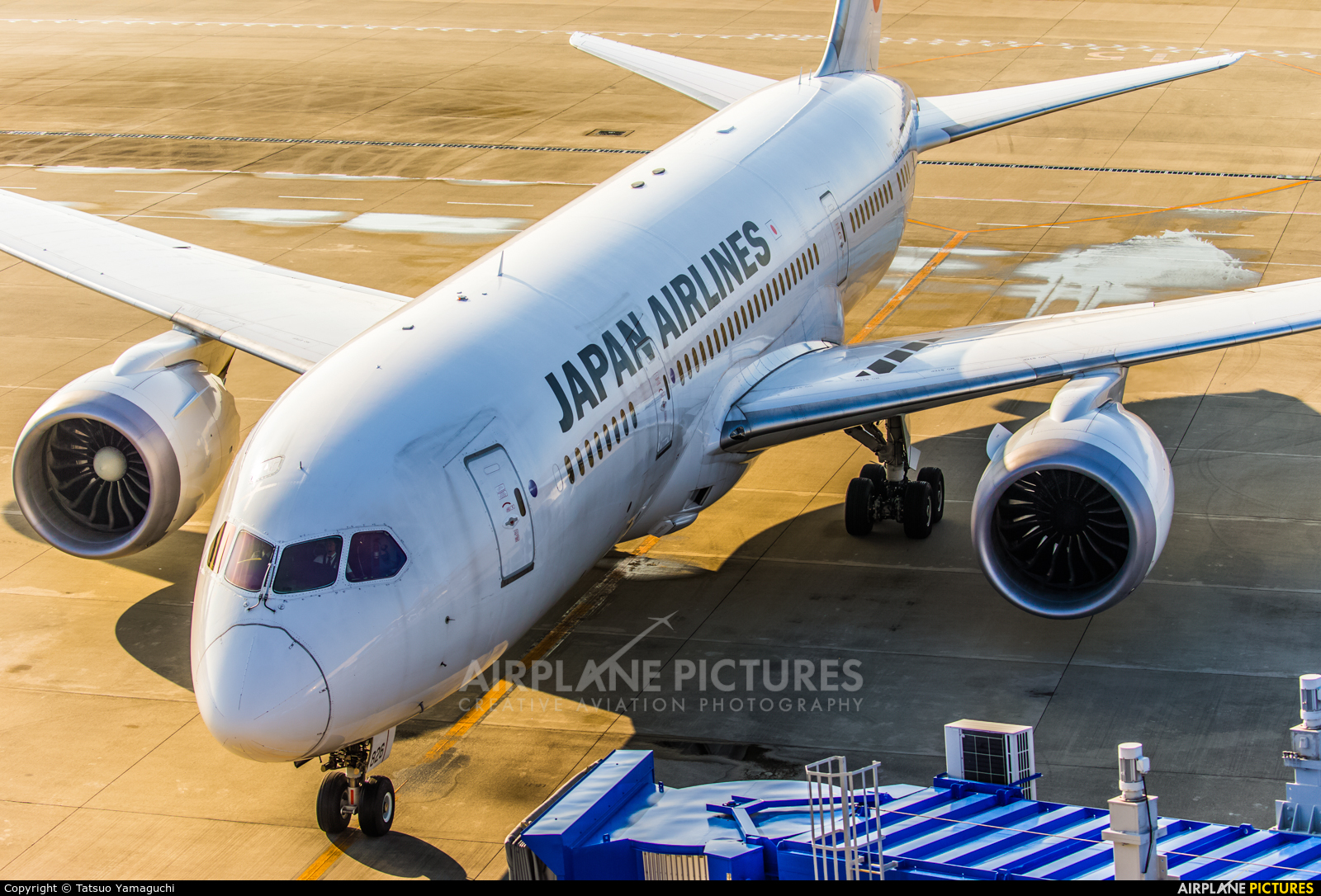 JAL - Japan Airlines JA826J aircraft at Chubu Centrair Intl