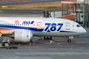 ANA - All Nippon Airways JA814A image