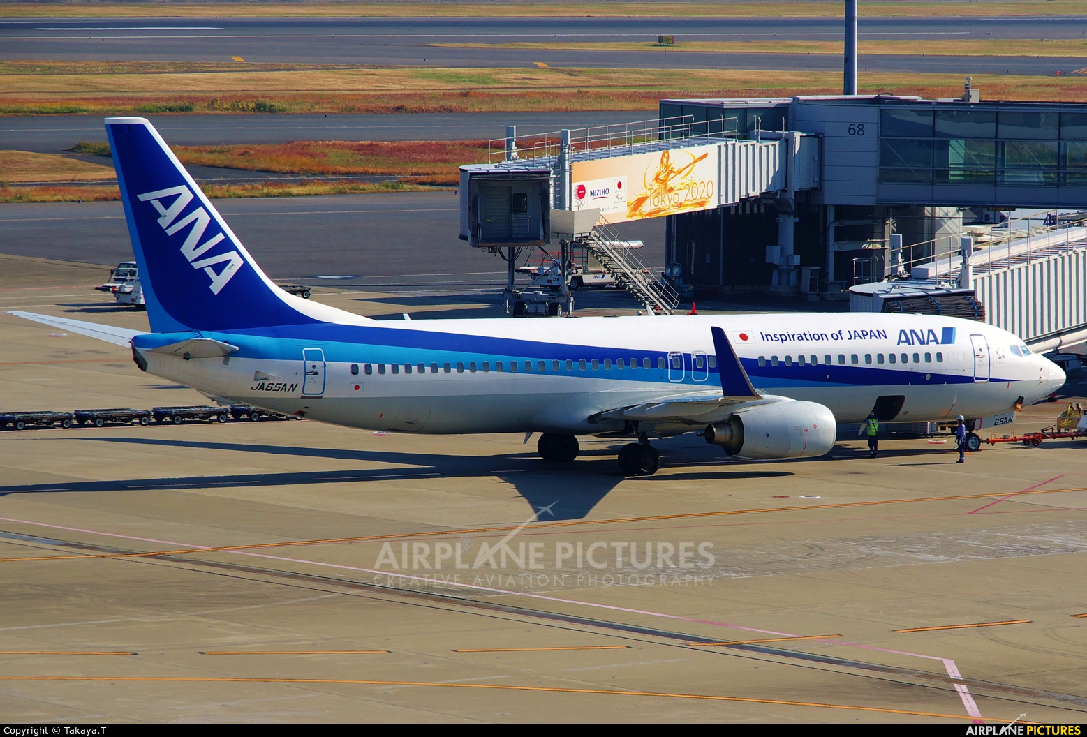 ANA - All Nippon Airways JA65AN aircraft at Tokyo - Haneda Intl